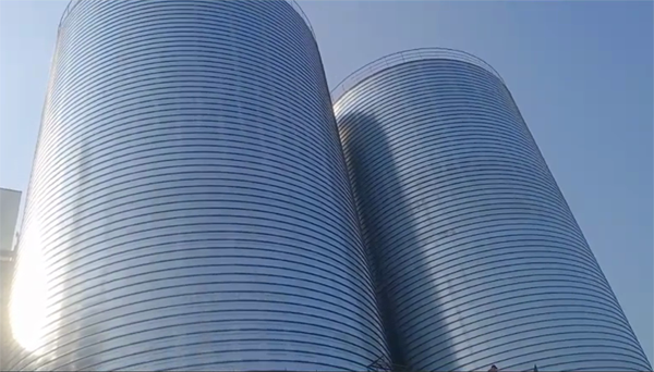 东台2座混凝土高架卷板仓